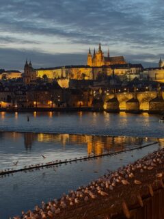Dnes večer bylo opravdu dokonalé světlo! #praha #iphone17pro #noedit