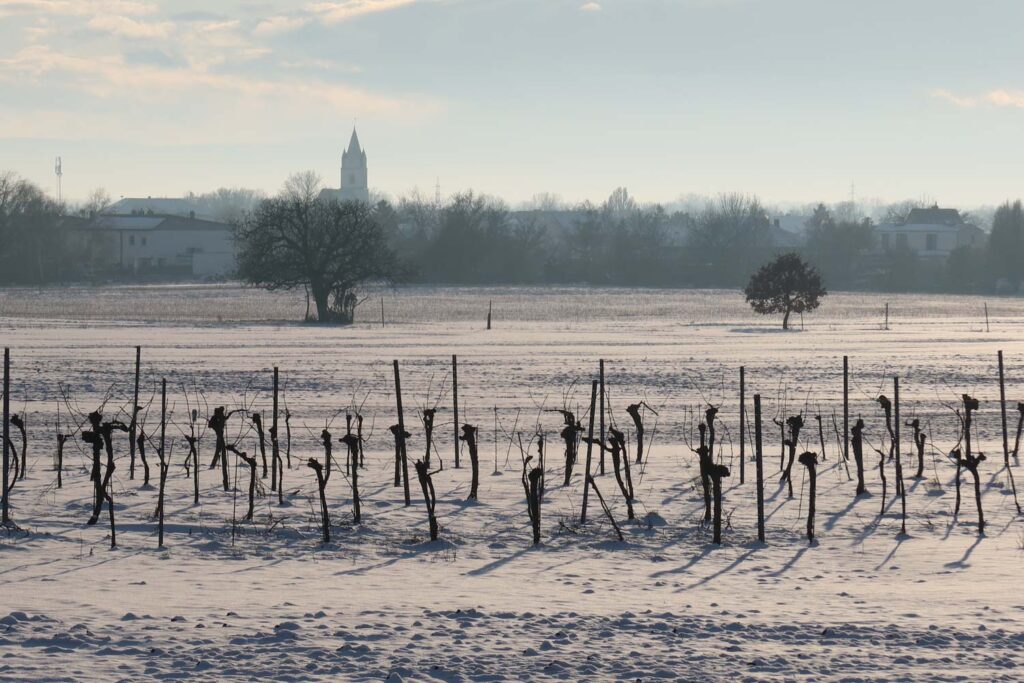 Canon PowerShot G7 X Mark III review - vineyards in Austria under snow