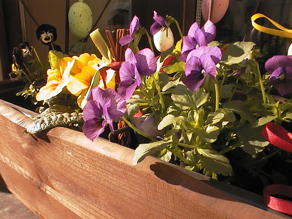 Canon PowerShot A5 - retro review - Prague - flowers
