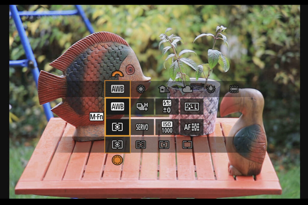 Canon R6 Mark III review and sample photos - controls