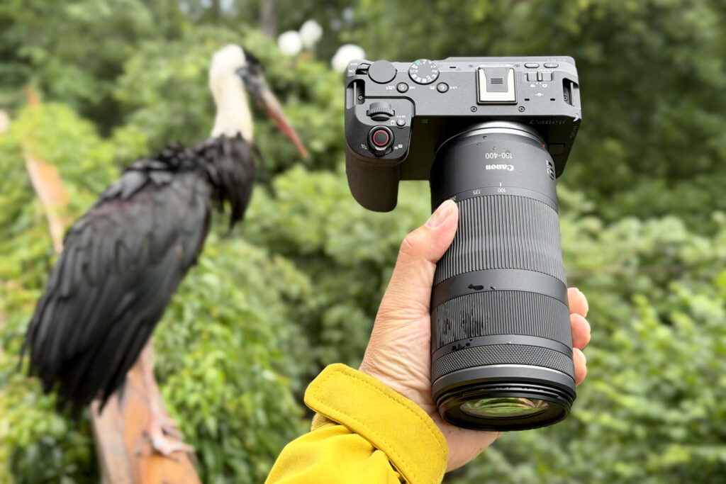 Canon R6 V and Canon RF 100-400mm f/5.6-8 IS USM