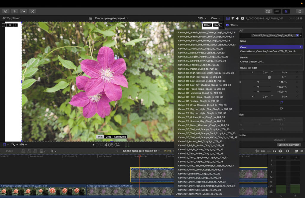 Canon R6 V and open gate video - special LUTs