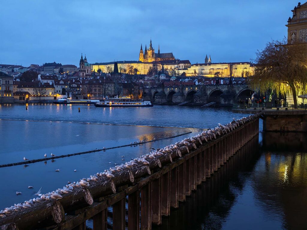 Honor Magic V6 review - Prague