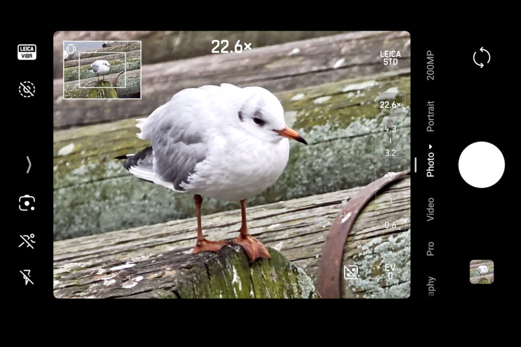 Leica Leitzphone review - zooming - bird