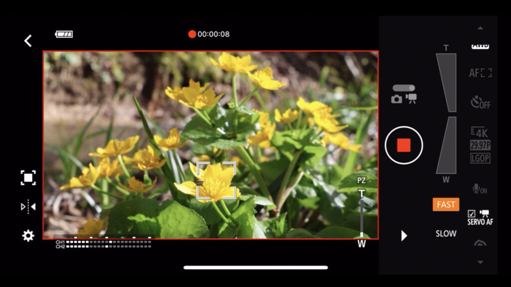 Canon R50 V review and sample photos - menu