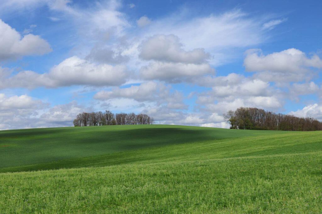 Canon R50 V review and sample photos - landscape