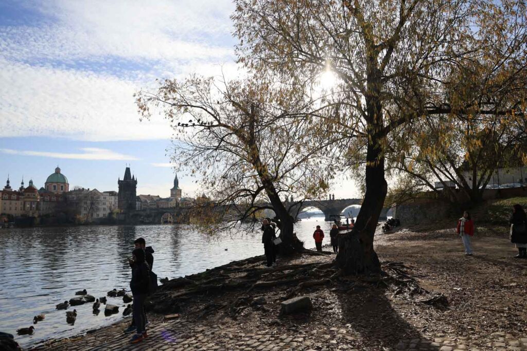 Canon R6 Mark III review and sample photos - Prague