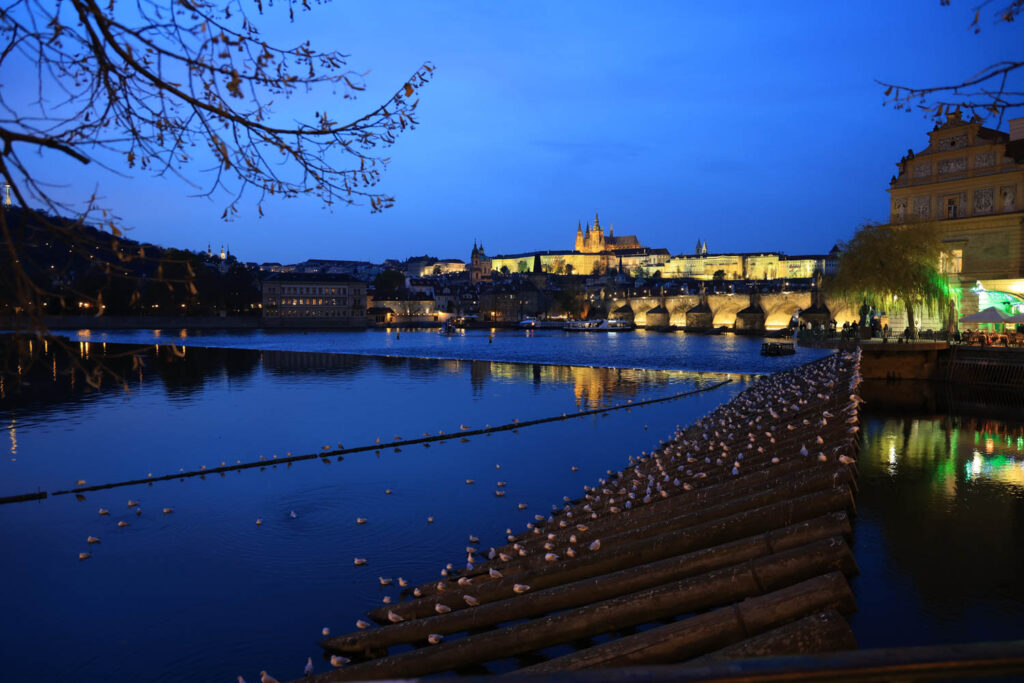 Canon R6 Mark III review and sample photos - Prague