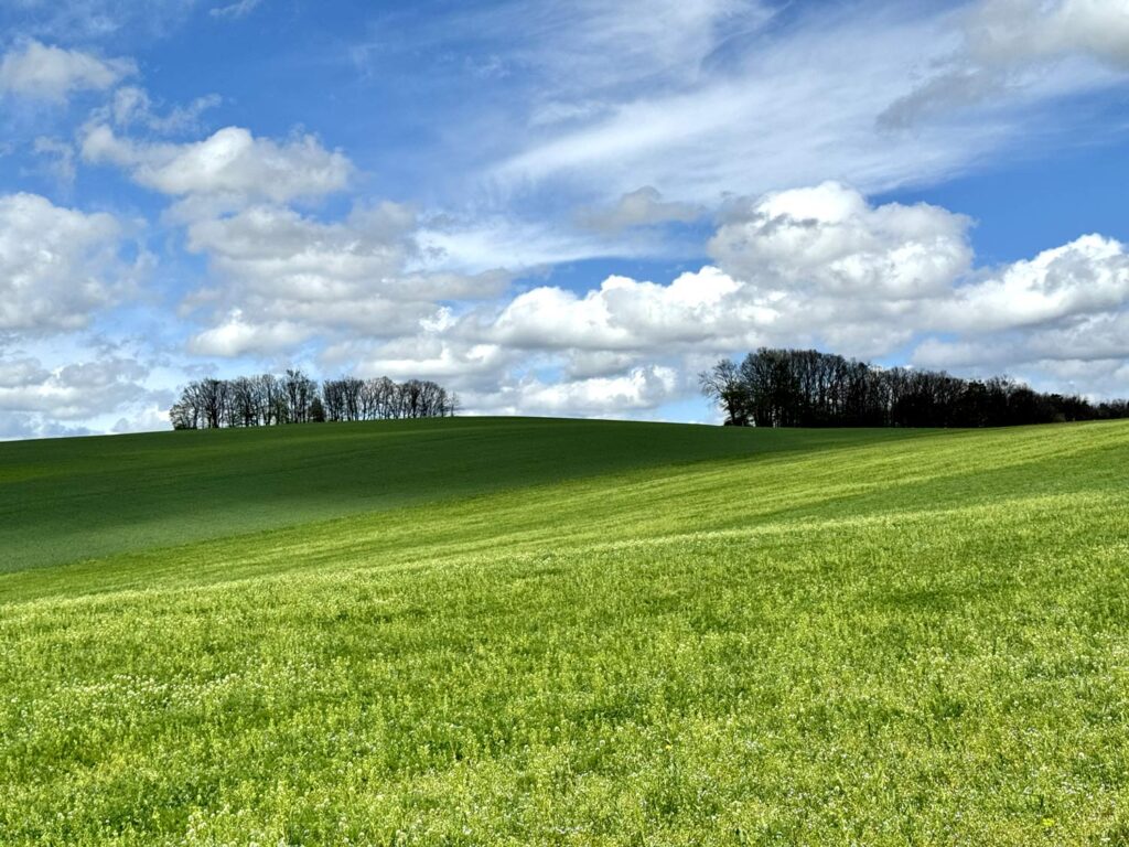 green Moravian landscape