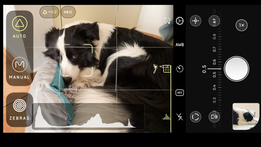 Halide App