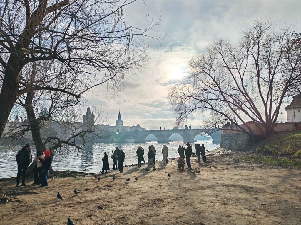 Honor 400 review - Prague