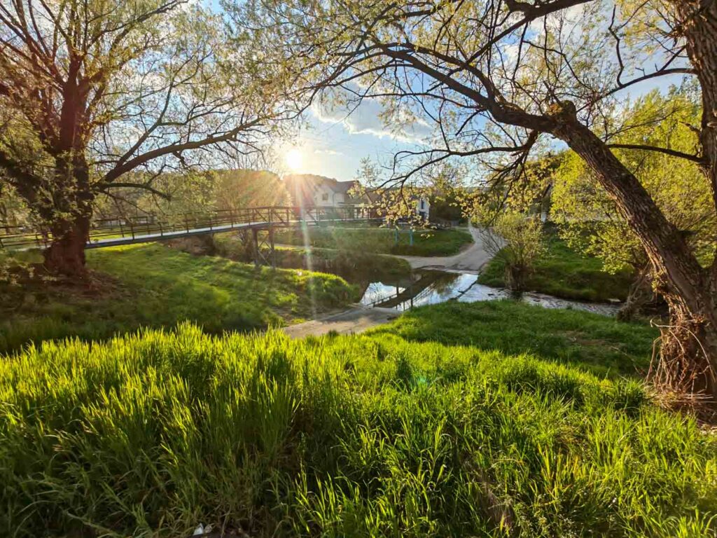 Honor 600 Pro review - landscape - river