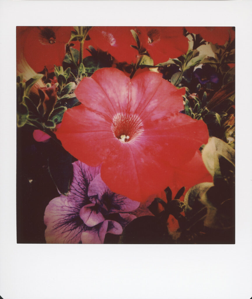 Instax Square SQ10 review