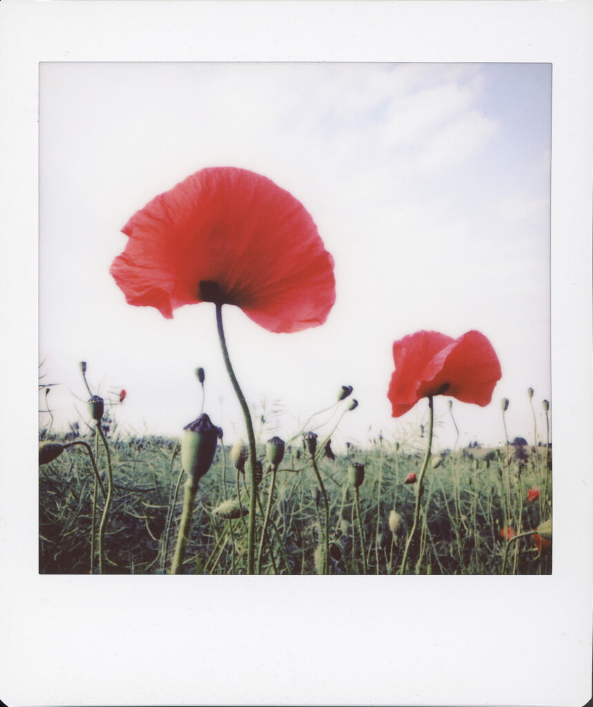 Instax Square SQ10 review