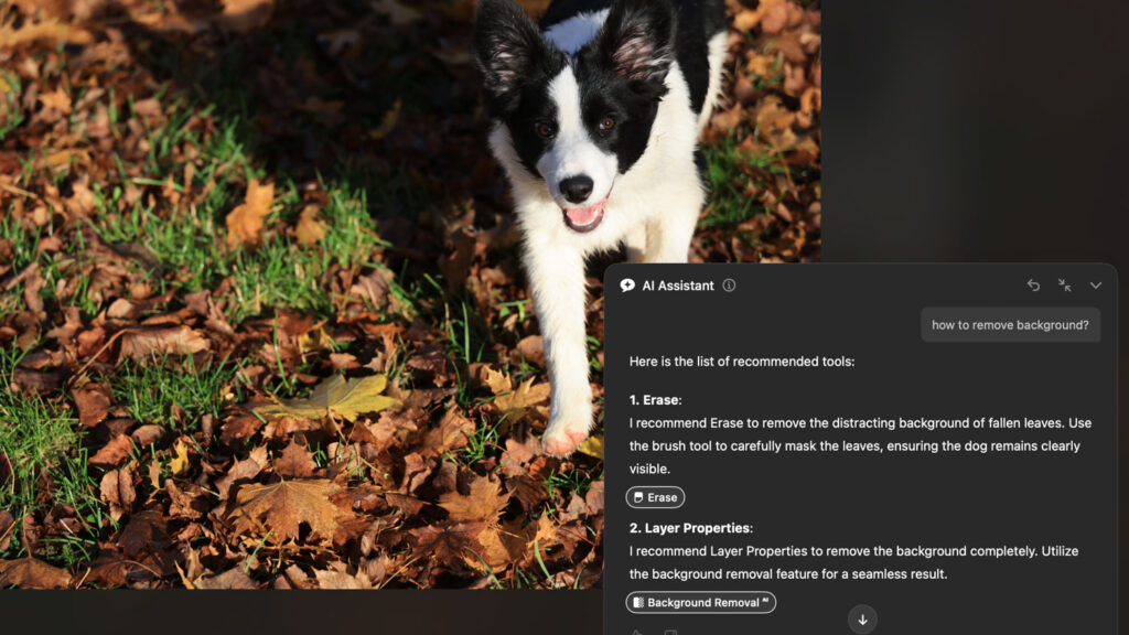 Luminar Neo AI Assistant review - suggestions for edits