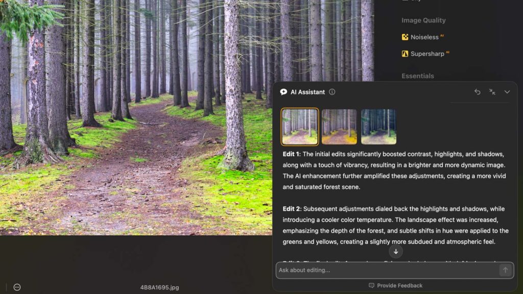Luminar Neo AI Assistant - forest detail