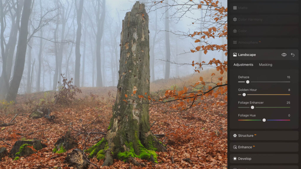 Luminar Neo AI Assistant review - Landscape edits in woods