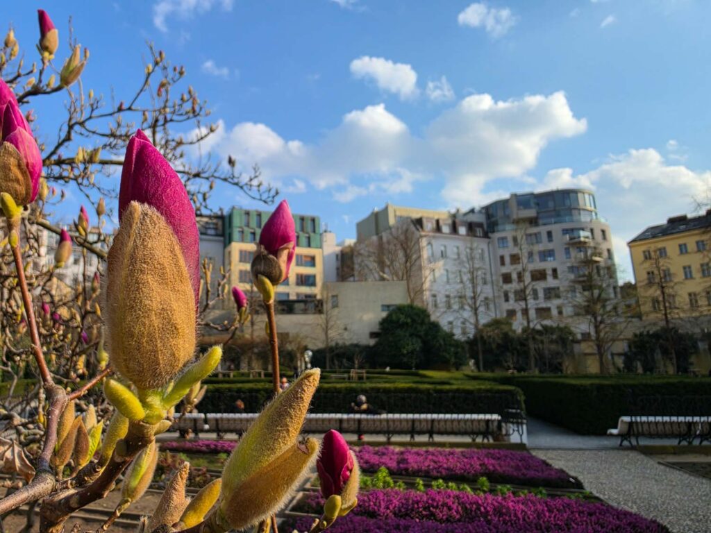 Samsung Galaxy S26 Ultra review - Prague garden