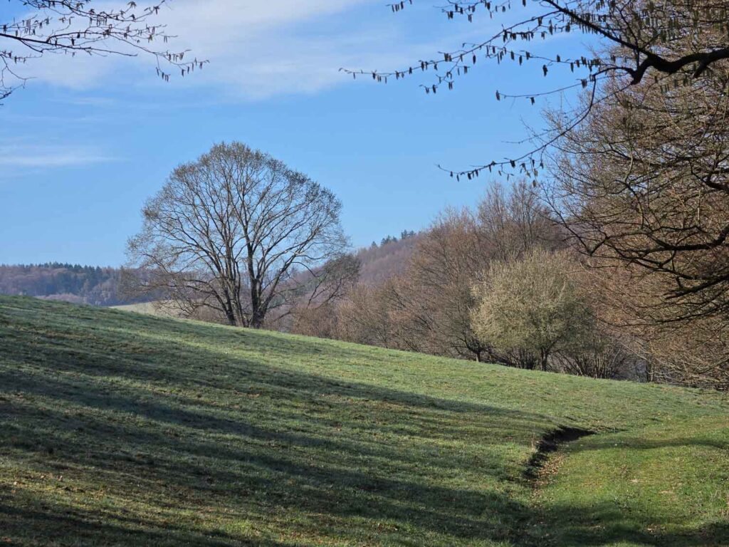 Samsung Galaxy S26 Ultra review - landscape